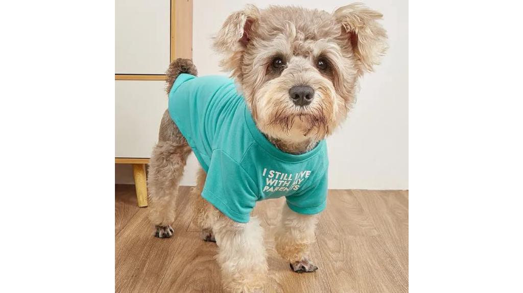 stylish apparel for dogs